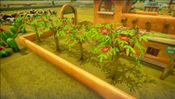 Farm Together - Mexico (DLC) (PC) Steam Key GLOBAL