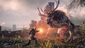 Get The Witcher 3: Wild Hunt GOTY XBOX LIVE Key TURKEY
