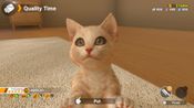 Little Friends: Dogs & Cats for sale