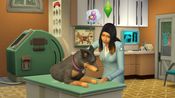 Get The Sims 4 Cats and Dogs Plus My First Pet Stuff Bundle (DLC) XBOX LIVE Key GLOBAL