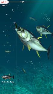 Rapala Fishing - Daily Catch