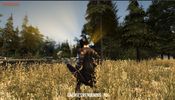 Buy Barbarian Souls (PC) Steam Key GLOBAL