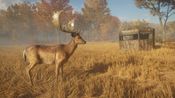 theHunter: Call of the Wild - Tents & Ground Blinds (DLC) (PC) Steam Key GLOBAL