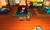 Story of Seasons: Trio of Towns