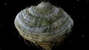 Samorost 2 Steam Key GLOBAL