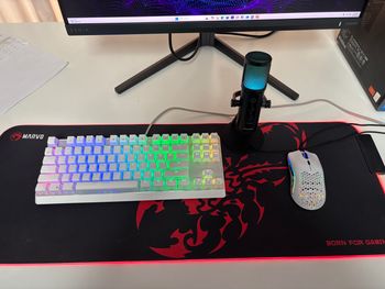 Gaming setup(klaviatūra, pelė, mikrofonas, kilimėlis)
