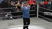 WWE 2K14 PlayStation 3