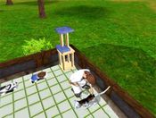 Redeem Paws and Claws: Pet Vet (PC) Steam Key GLOBAL