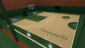 VR SHOOT AROUND - Rialistic basketball simulator -