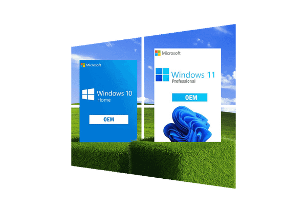 Windows keys
