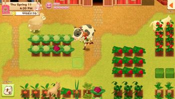 Harvest Moon: Light of Hope Nintendo Switch