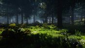 Redeem LURE Steam Key GLOBAL