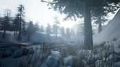 Forgotten Land for sale