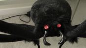 Fright Light for sale