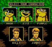 Battletoads & Double Dragon NES
