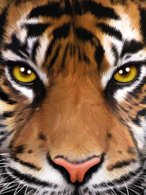 Get Ultimate Tiger Simulator 2 APK for free