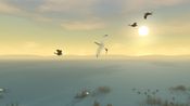 Storm Boy (Xbox One) Xbox Live Key UNITED STATES for sale