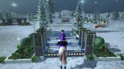 Riding Club Championships for sale