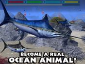 Redeem Ultimate Ocean Simulator