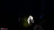 Get The Hermit Chronicles (PC) Steam Key GLOBAL