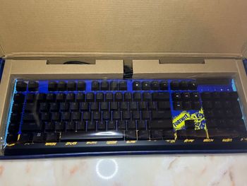 Razer Blackwidow V4 X mechaninė klaviatūra Rgb