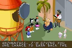 Buy Animaniacs: Lights, Camera, Action! Nintendo DS