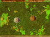 Colony for sale