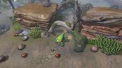 Terrarium Land for sale
