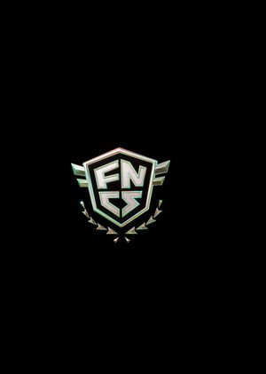 Fortnite - Champion's Honor Back Bling (DLC) Epic Games Key GLOBAL