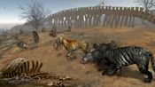 Life of Black Tiger for sale