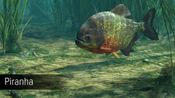 Ultimate Fishing Simulator - Amazon River (DLC) (PC)  Steam Key GLOBAL