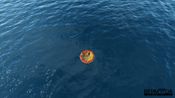 Bermuda - Lost Survival