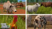 Farming Simulator 17: Platinum Edition for sale