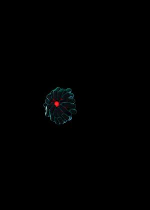 Fortnite - Dark Grasp Back Bling (DLC) Epic Games Key GLOBAL