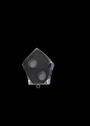 Fortnite - Nut Hutch Back Bling (DLC) Epic Games Key GLOBAL
