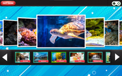 Get Jigsaw Puzzles Deluxe - Full HD Images PC/XBOX LIVE Key EUROPE