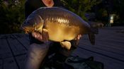 Euro Fishing: Waldsee (DLC) (PC) Steam Key GLOBAL for sale