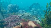 Stranded Deep Steam Key (PC) ROW for sale
