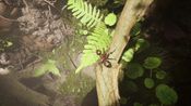 Empire of the Ants (PC/Xbox Series X|S) XBOX LIVE Key UNITED STATES