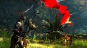 Buy Guild Wars 2: Heart of Thorns Official website Key EUROPE