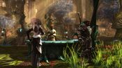 Kingdoms of Amalur: Re-Reckoning (Xbox One) Xbox Live Key EUROPE for sale