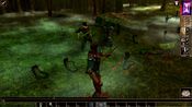 Buy Neverwinter Nights: Wyvern Crown of Cormyr (DLC) Steam Key GLOBAL