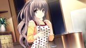Redeem If My Heart Had Wings -Flight Diary-