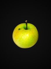 EAT: THE REVOLUTION