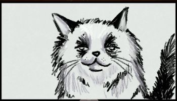 Buy Art Academy: SketchPad Wii U
