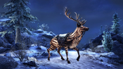 The Elder Scrolls Online: The Hailcinder Mount Pack (DLC) XBOX LIVE Key EUROPE