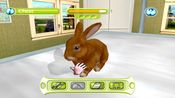 My Vet Practice (PC) Steam Key GLOBAL