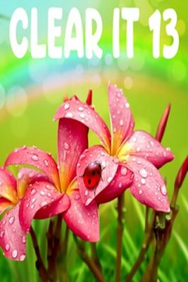 ClearIt 13 game cover
