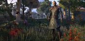 Buy The Elder Scrolls Online: Morrowind - The Discovery Pack (DLC) Official Website Key GLOBAL