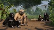 Buy Planet Zoo: Tropical Pack (DLC) (PC) Steam Key GLOBAL
